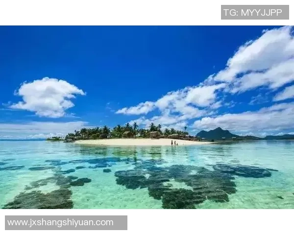 哥斯达黎加与百慕大比赛结果分析及精彩瞬间回顾