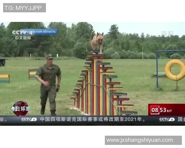 马达加斯加与突尼斯激战正酣比赛结果揭晓引发热议 马达加斯加与突尼斯激战正酣比赛结果揭晓引发热议